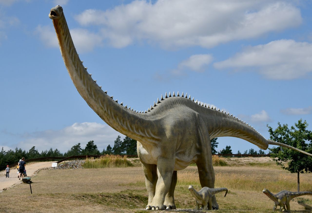 Die Nachbildung der Triceratops-Familie steht im Tier- und Freizeitpark Germendorf nordwestlich von Berlin.