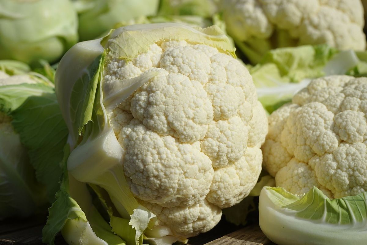 cauliflower-318152_1920