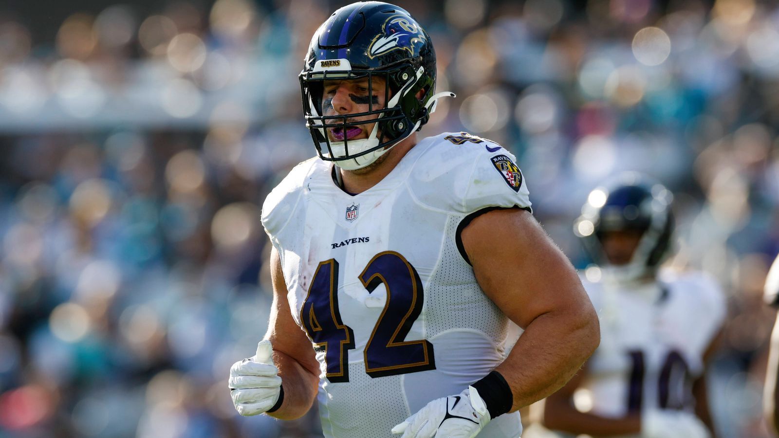 
                <strong>Fullback (AFC)</strong><br>
                &#x2022; Patrick Ricard (Baltimore Ravens)<br>
              