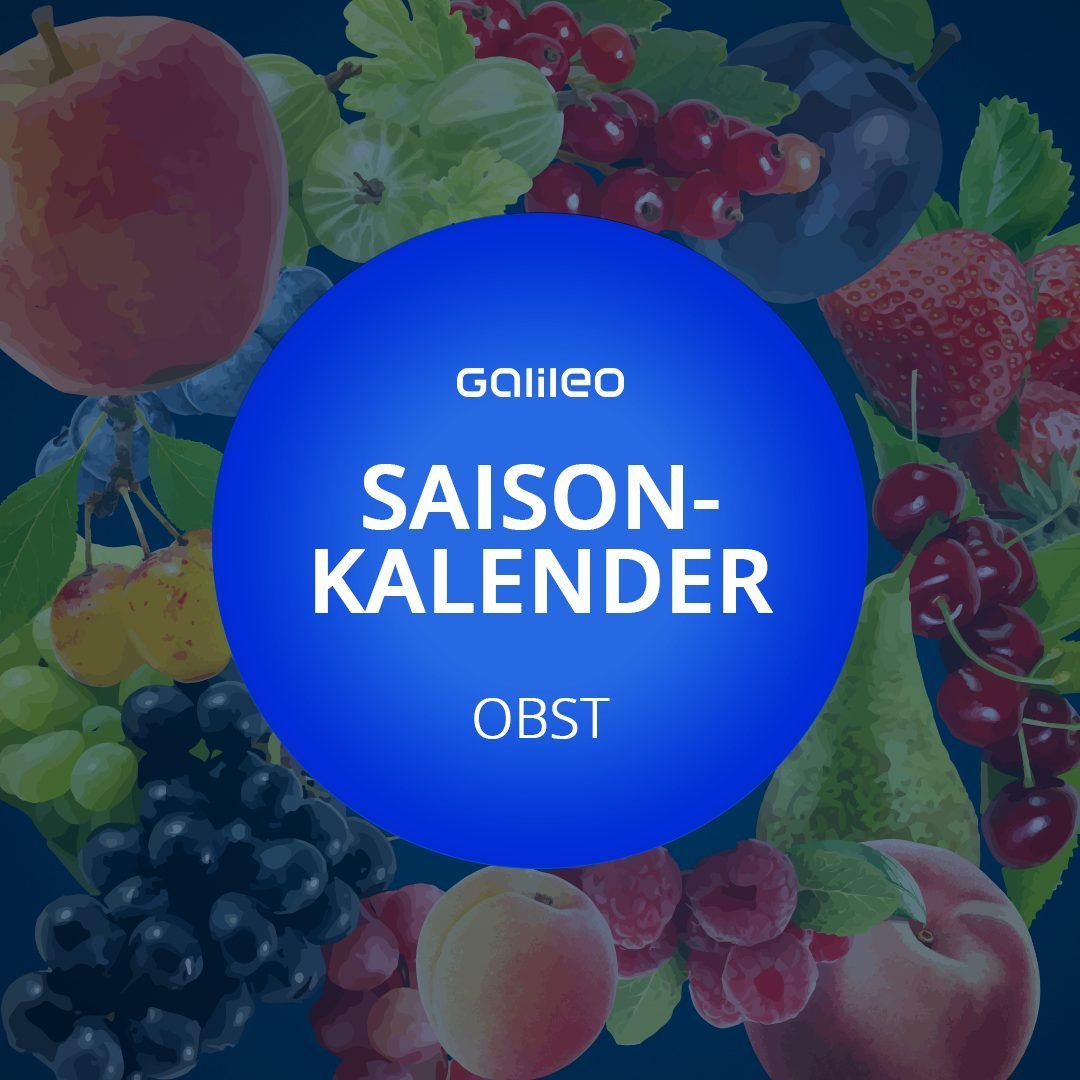 Saisonkalender Obst