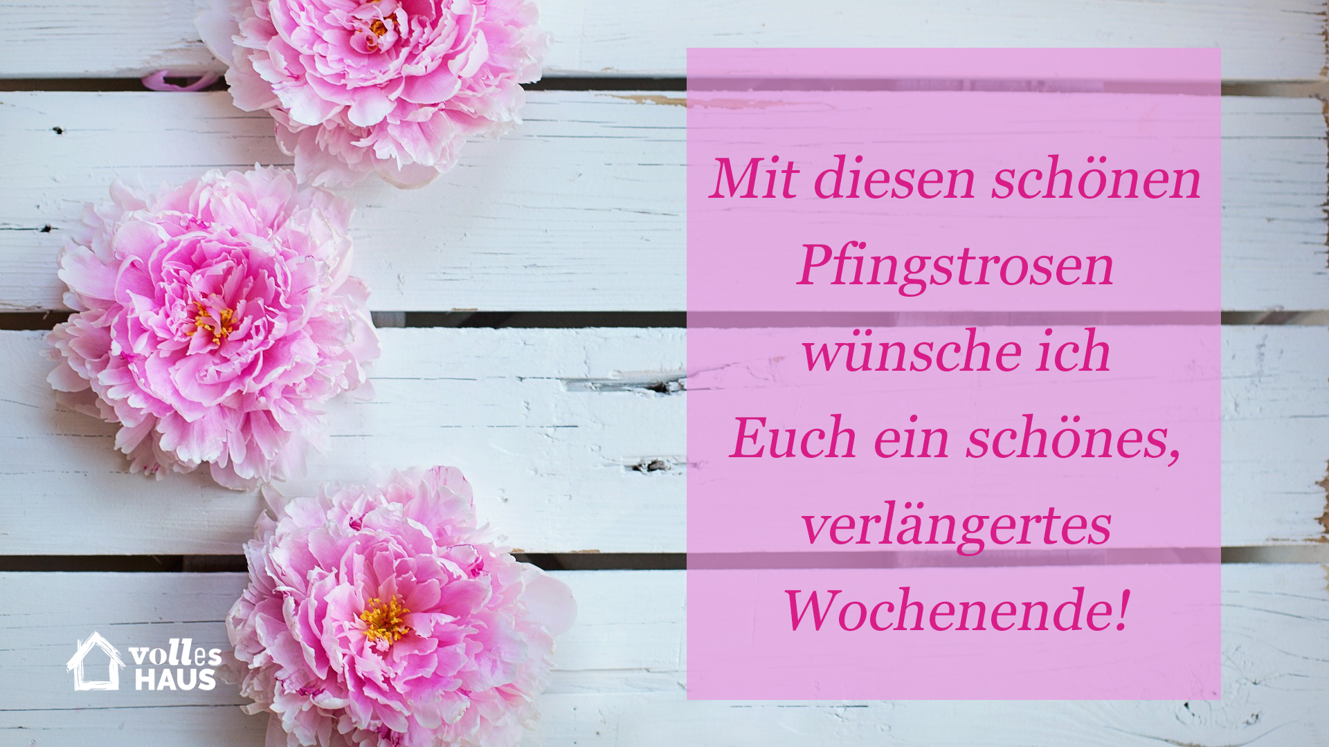 Rosa Pfingstrosen zu Pfingsten - der perfekte WhatsApp-Gruß.