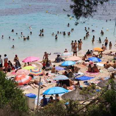 Je wärmer das Wasser, desto höher die Bakterienbelastung: Alicante schließt Strände.