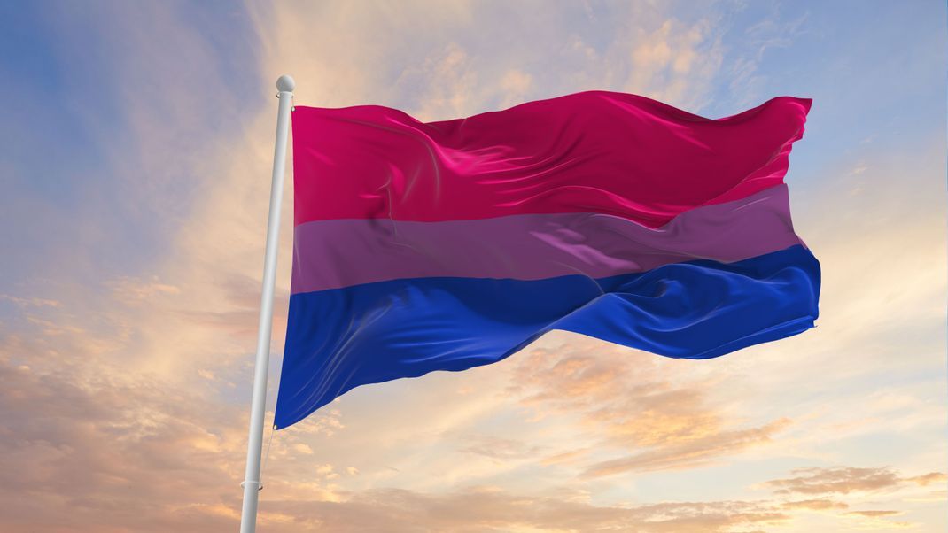 Diese Flagge symbolisiert Bisexualität.