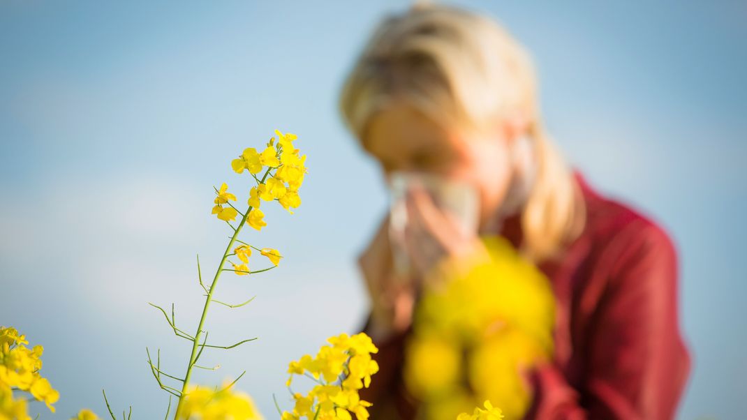 Eine Allergie kommt selten allein. Wenn du eine Kreuzallergie entwickelst, dann reagierst du auf Lebensmittel, die ähnliche Allergene enthalten.