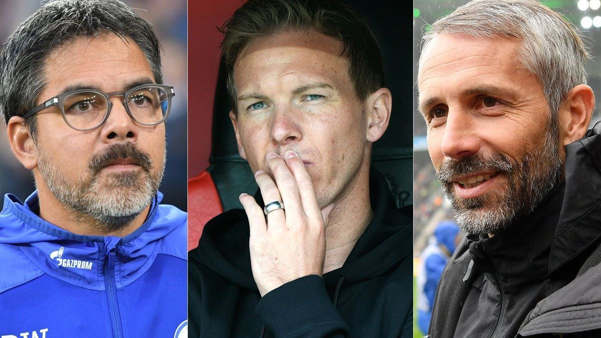 Die sieben neuen Trainer in der Bundesliga - ran.de zieht eine erste Zwischenbilanz