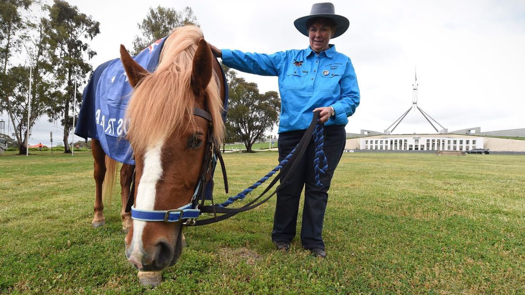 In Australien dürfen Wildpferde, die sogenannten "Brumbies" aus der Luft abgeschossen werden, um die Population zu reduzieren.