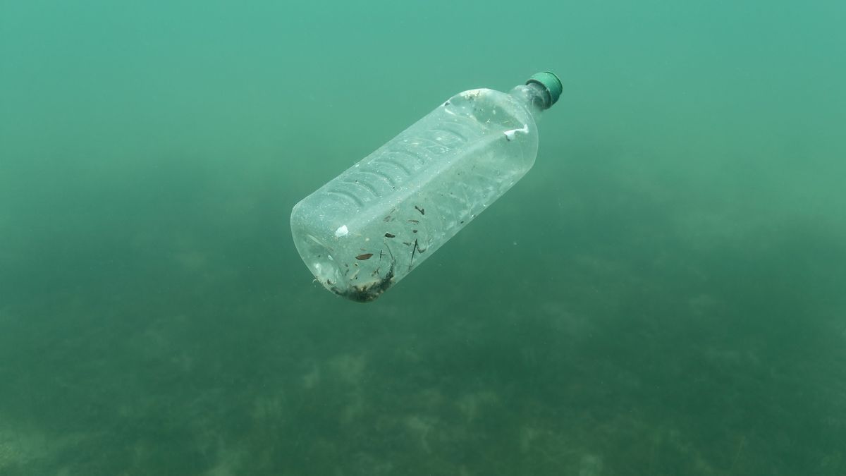 In Flüssen schwimmt viel Kunststoff. Gesundheitsbedrohlich auch für Menschen.