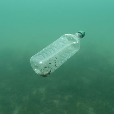 In Flüssen schwimmt viel Kunststoff. Gesundheitsbedrohlich auch für Menschen.