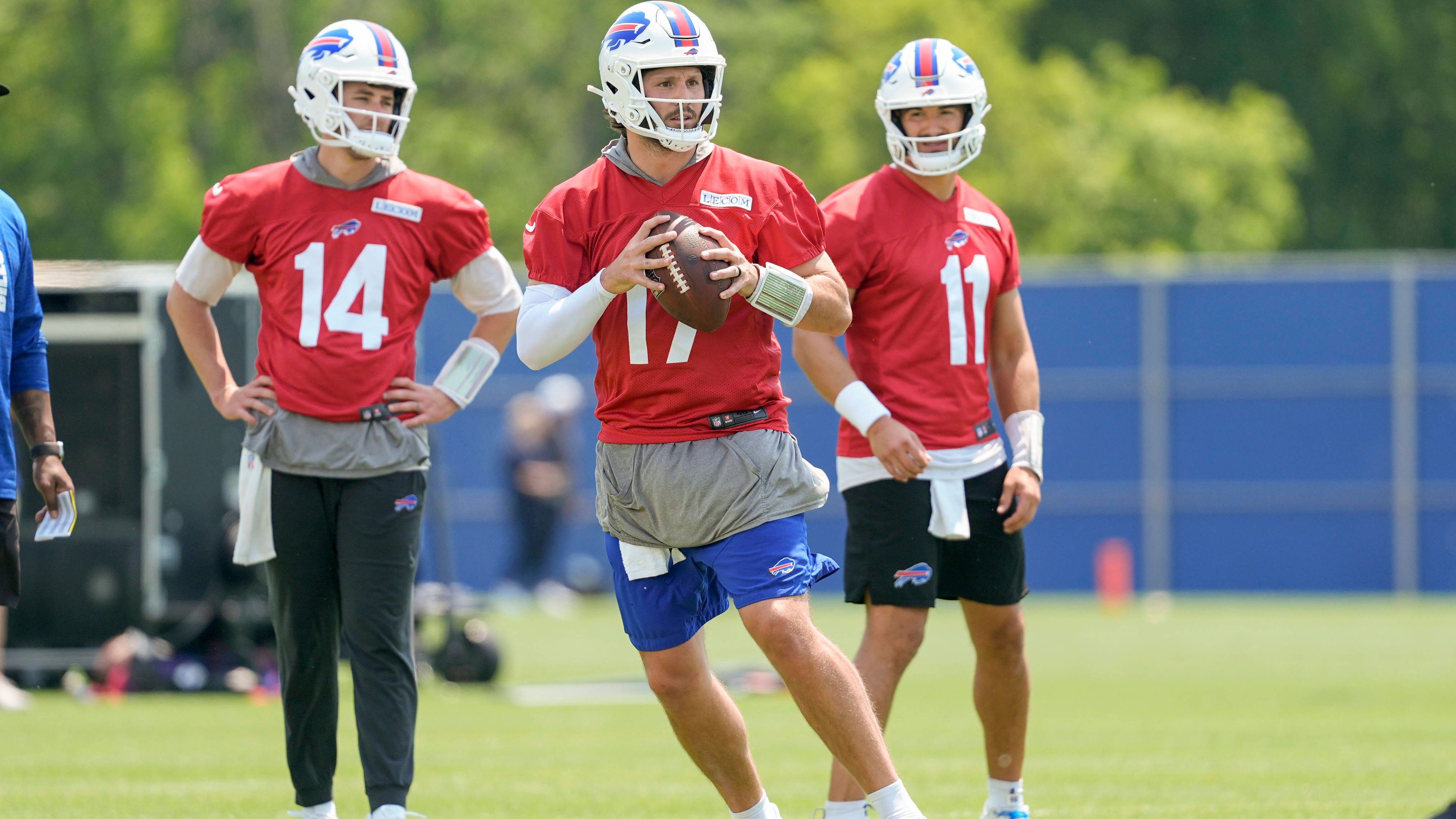 <strong>Buffalo Bills</strong><br>Anzahl Unentschieden: 4