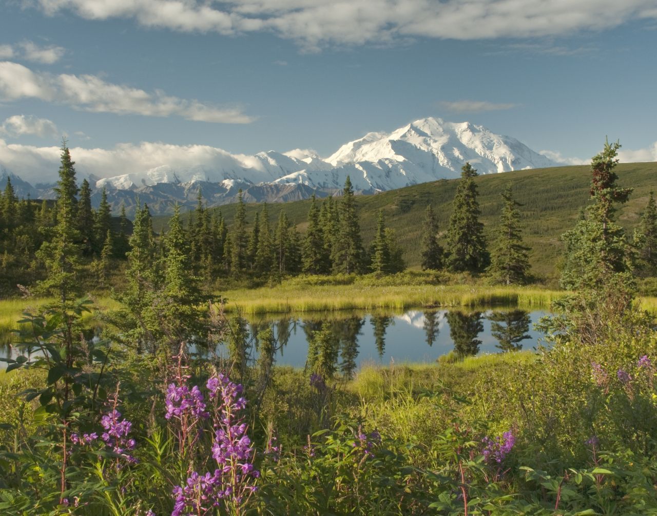 Abenteurer:innen zieht es seit jeher in den Denali-Nationalpark im Landesinneren. Ein knapp 20.000 Quadratkilometer großes Natur-Paradies aus Mischwald, Tundra und Gletschern, in dem Bären, Elche, Rentiere, Wölfe und Dall-Schafe heimisch sind. Im Sommer kann man wandern und bergsteigen, im Winter sind neben dem Skiwandern auch Hundeschlitten- und Schneemobil-Fahrten möglich. Bis 2020 stand der "Magic Bus" des Aussteigers Chri