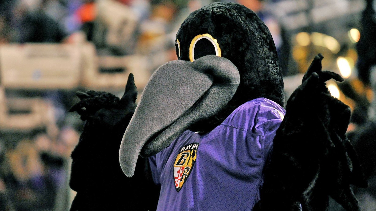 
                <strong>Baltimore Ravens: Poe</strong><br>
                "Sprach der Rabe: 'Nimmermehr'". Der berühmte amerikanische Dichter Edgar Allan Poe lebte und starb in Baltimore. Sein Gedicht "Der Rabe" gab den Ravens ihren Namen. Die Maskottchen des Teams waren bis zum Ende der Saison 2008 die kostümierten Raben Edgar, Allan und Poe. Zur Saison 2009 wurden Edgar und Allan durch die lebenden Raben Rise und Conquer ersetzt. Somit ist Poe der menschlich verbliebene Glücksbringer der Ravens. 2015 veränderte sich das Design des Kostüms. Poe wurde demnach etwas dünner und das Outfit weniger schwer.
              