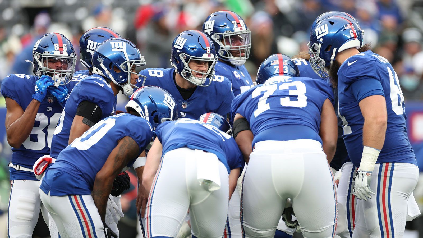 
                <strong>Platz 6 in der NFC: New York Giants (8-6-1)</strong><br>
                &#x2022; Week 17: vs. Colts<br>&#x2022; Week 18: @Eagles<br>
              