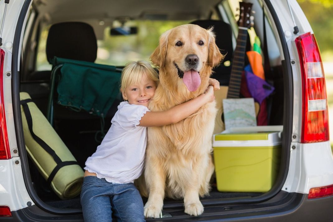 Reist der Vierbeiner mit im Auto, ist das ähnlich wie mit einem Kind: Regelmäßige Pipi- und Essenspausen sind Pflicht.