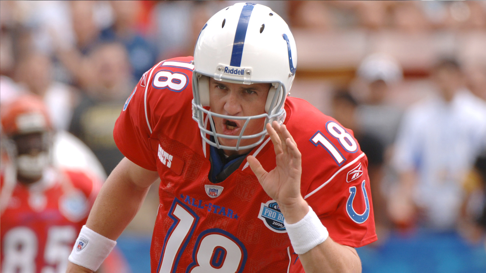 
                <strong>Platz 2 (geteilt): Peyton Manning</strong><br>
                &#x2022; Nominierungen für den Pro Bowl: 14 -<br>&#x2022; Position: Quarterback -<br>&#x2022; Teams: Indianapolis Colts, Denver Broncos<br>
              