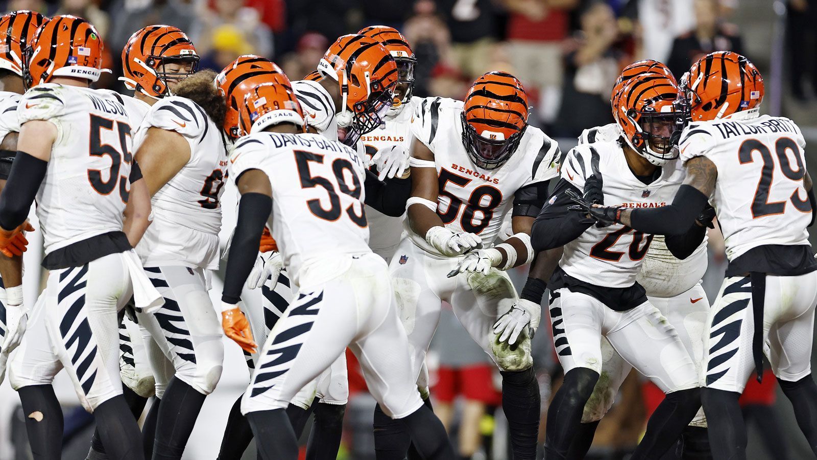 
                <strong>Platz 3 in der AFC: Cincinnati Bengals (11-4)</strong><br>
                Playoff-Ticket schon fix&#x2022; Week 17: vs. Bills<br>&#x2022; Week 18: vs. Ravens<br>
              