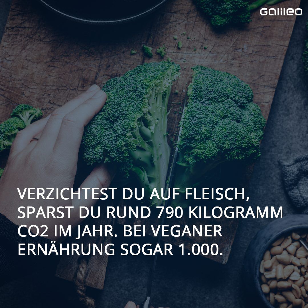 Tierhaltung verursacht viel CO2.