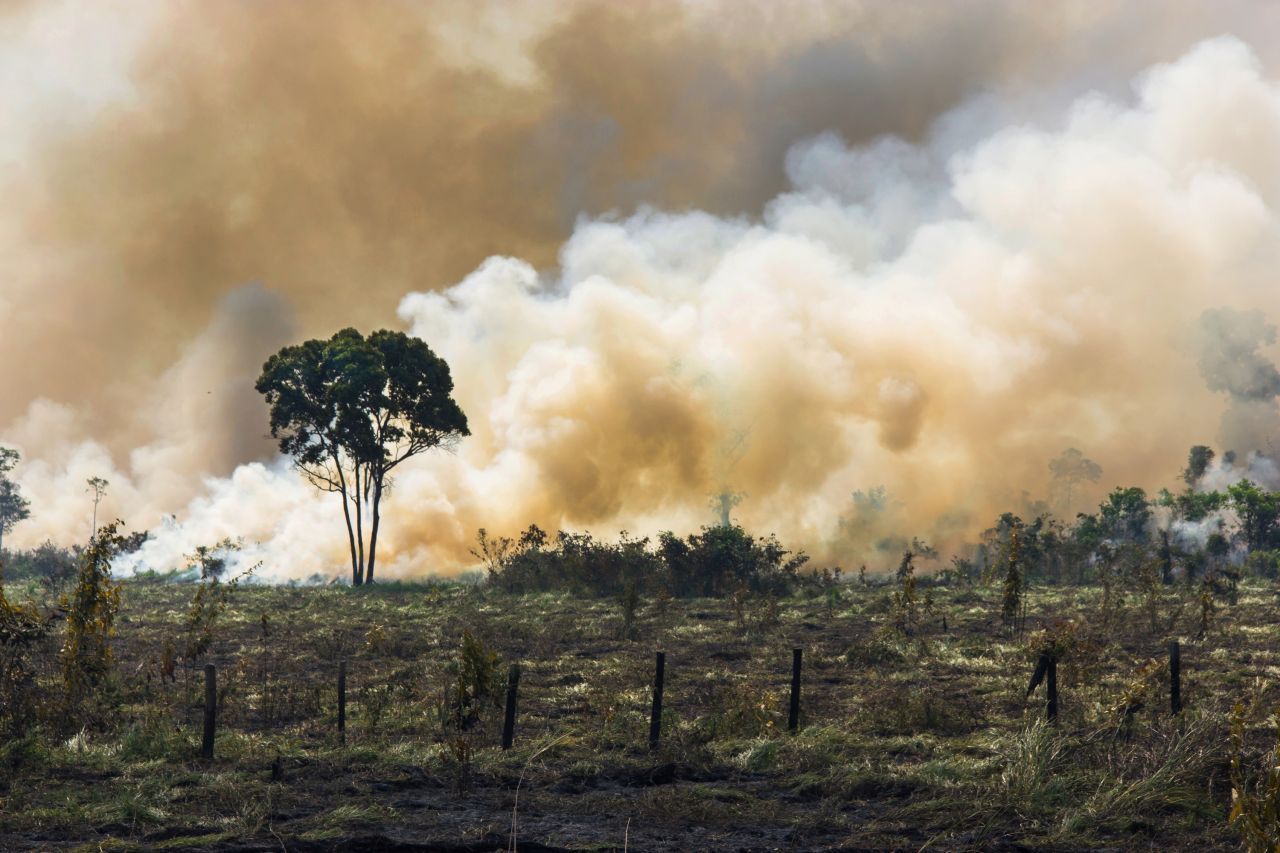 Rodungen und Brände gefährden den Amazonas-Regenwald. 2019 gab er bereits mehr CO2 ab als er aufnahm. Damit schwindet seine Regenerationsfähigkeit - was globale Folgen fürs Klima nach sich zieht.