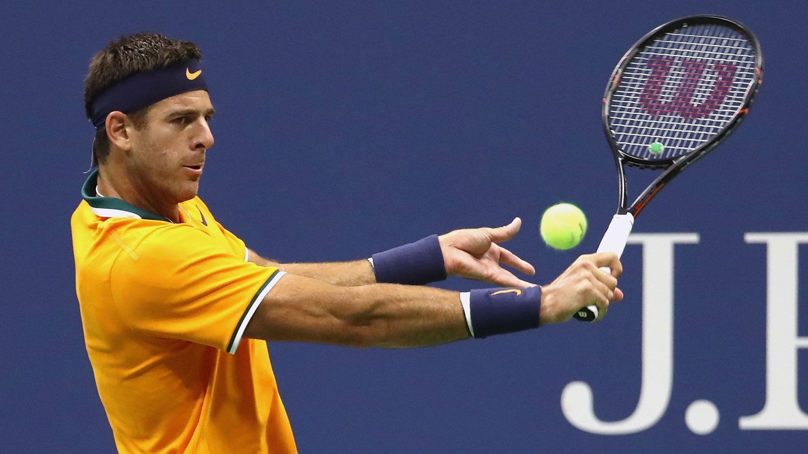 
                <strong>Platz 11: Juan Martin del Potro (Argentinien)</strong><br>
                Platz 11: 25.889.586 Dollar Grand-Slam-Titel: 1
              