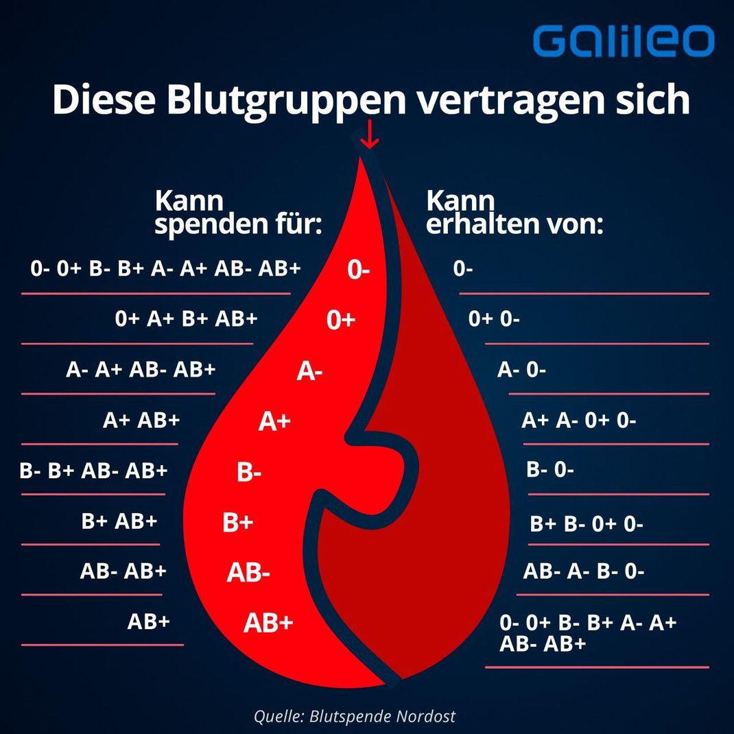 Was für blutgruppe hat das kind tabelle - Deutschland