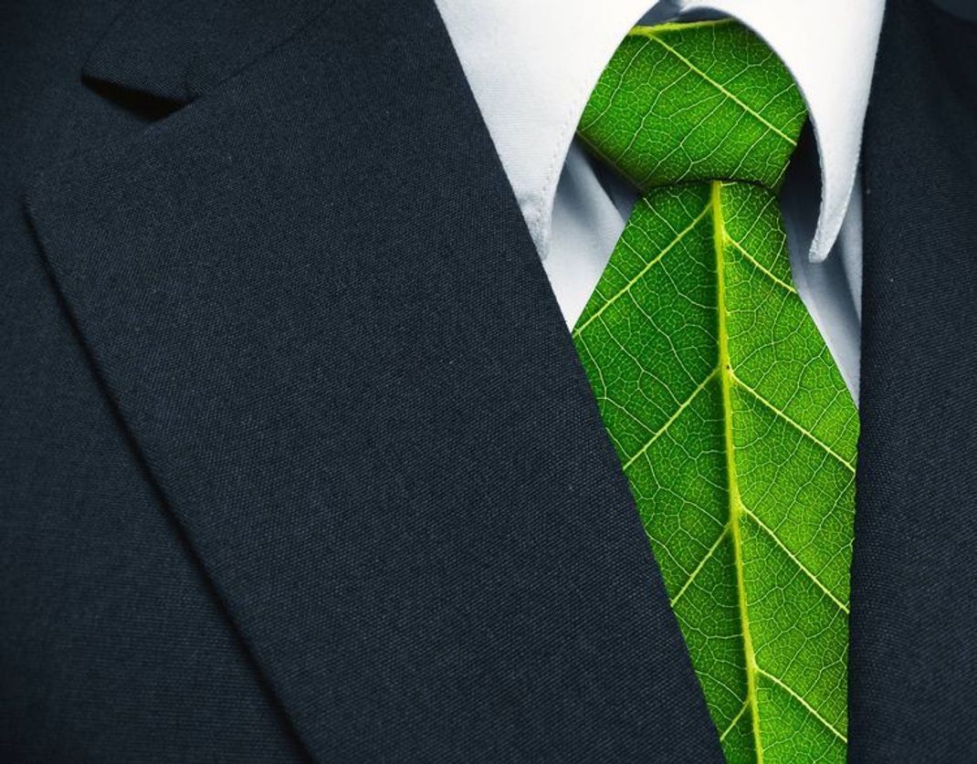 Grüne Jobs – nur noch kurz die Welt retten