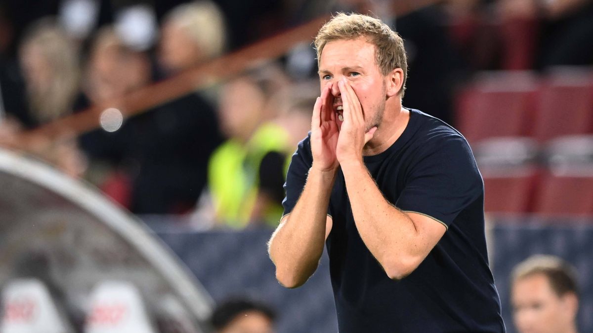 Julian Nagelsmann gegen Nordirland