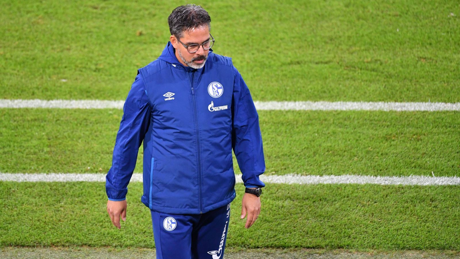 
                <strong>David Wagner (vereinslos)</strong><br>
                David Wagner wirkte zuletzt glücklos auf Schalke und wurde bereits nach zwei Spieltagen entlassen. Allerdings bekamen es seine zahlreichen Nachfolger in Gelsenkirchen auch nicht besser auf die Reihe, weshalb er durchaus auf eine weitere Chance in der Bundesliga hoffen darf. Bei der Eintracht dürfte der gebürtige Frankfurter aber ebenfalls nur eine Randnotiz spielen.
              