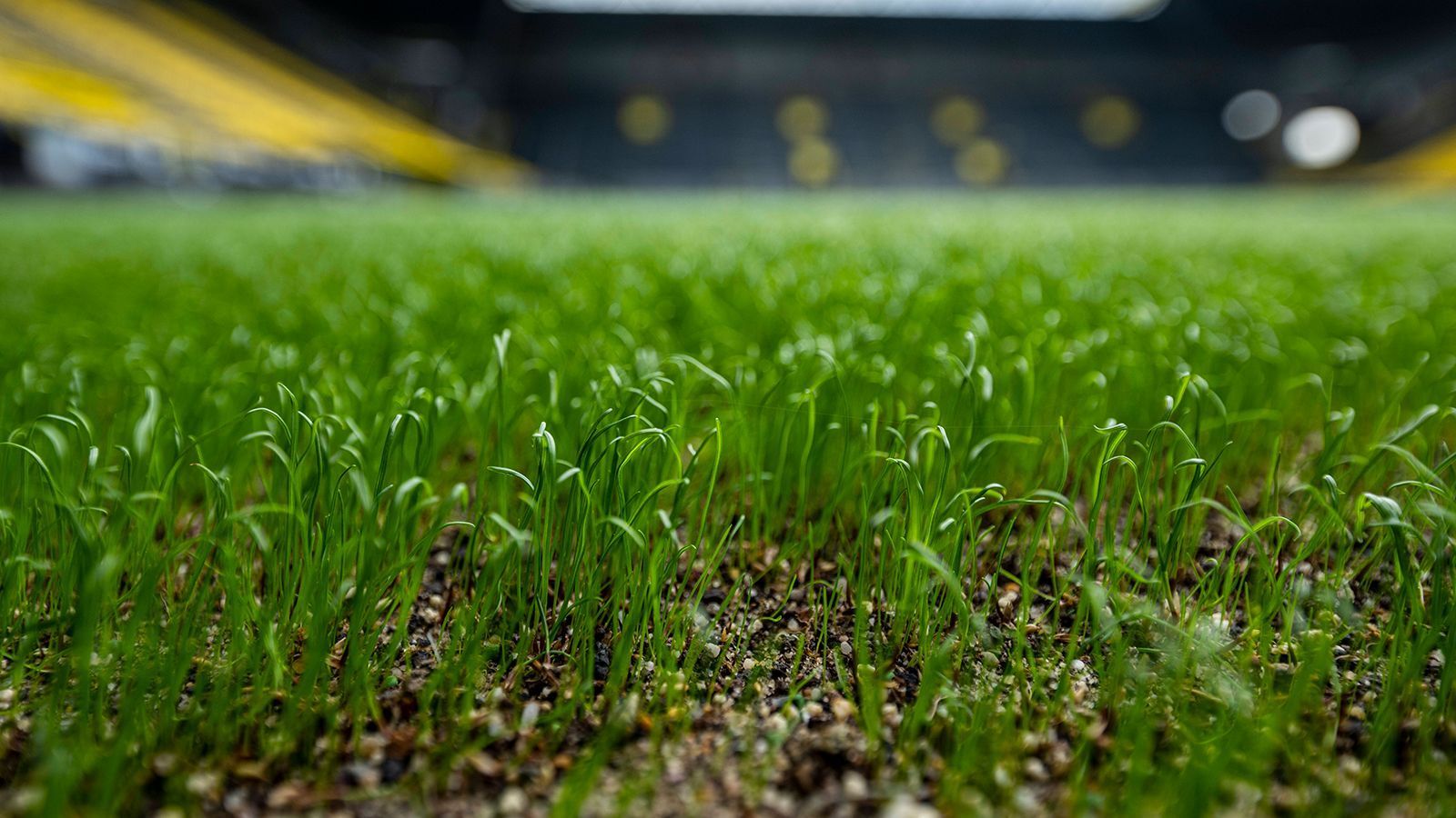 
                <strong>Preisträger der Saison 2019/2020</strong><br>
                1. Bundesliga1. Borussia Dortmund – Signal Iduna Park2. RB Leipzig – Red Bull Arena3. FC Bayern München – Allianz Arena2. Bundesliga1. VfB Stuttgart – Mercedes-Benz Arena2. SV Darmstadt 98 – Merck-Stadion am Böllenfalltor3. DSC Arminia Bielefeld – SchücoArena
              