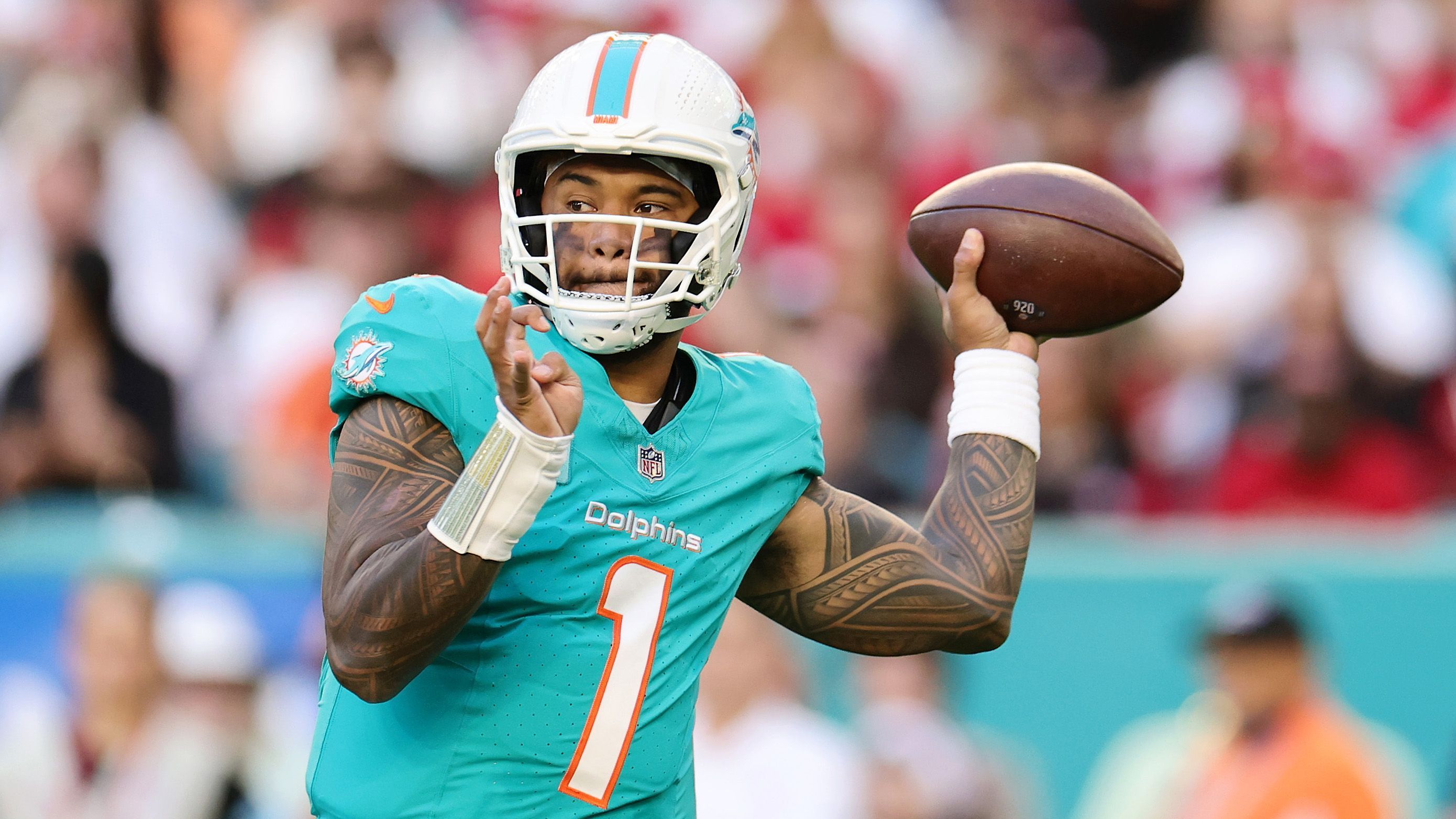 <b>Miami Dolphins</b><br>Record am Ende der Saison: 9-8