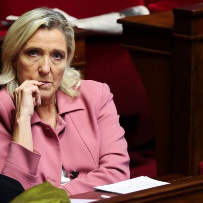 Marine Le Pen, Rassemblement National Frankreich