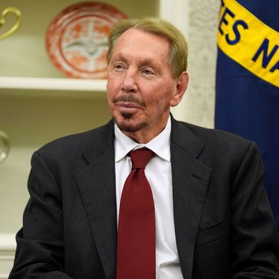 Larry Ellison 