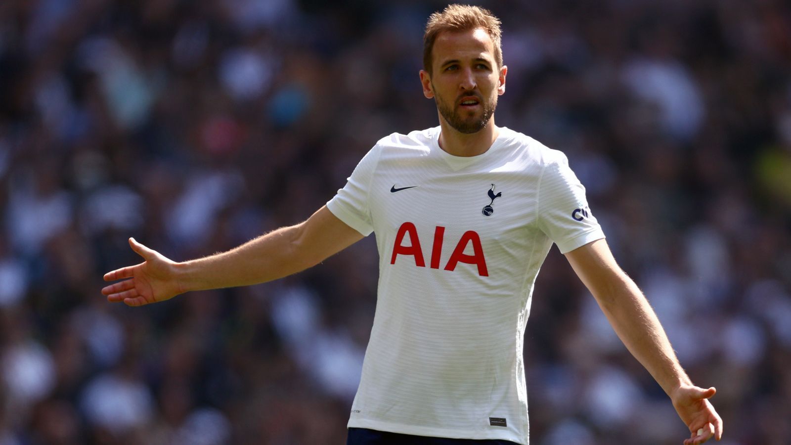 
                <strong>Harry Kane (Tottenham Hotspur)</strong><br>
                Starstürmer Harry Kane soll laut "Mirror" Uniteds Wunschkandidat für den Sommer 2022 sein. Der Vertrag des 28-Jährigen bei Tottenham Hotspur läuft noch bis 2024, wodurch die Ablöse für ihn ziemlich sicher ein dreistelliger Millionen-Betrag wäre. Zudem wolle Spurs-Coach Antonio Conte seinen Top-Torjäger laut dem italienischen Transfermarkt-Experten Fabrizio Romano um jeden Preis halten. 
              