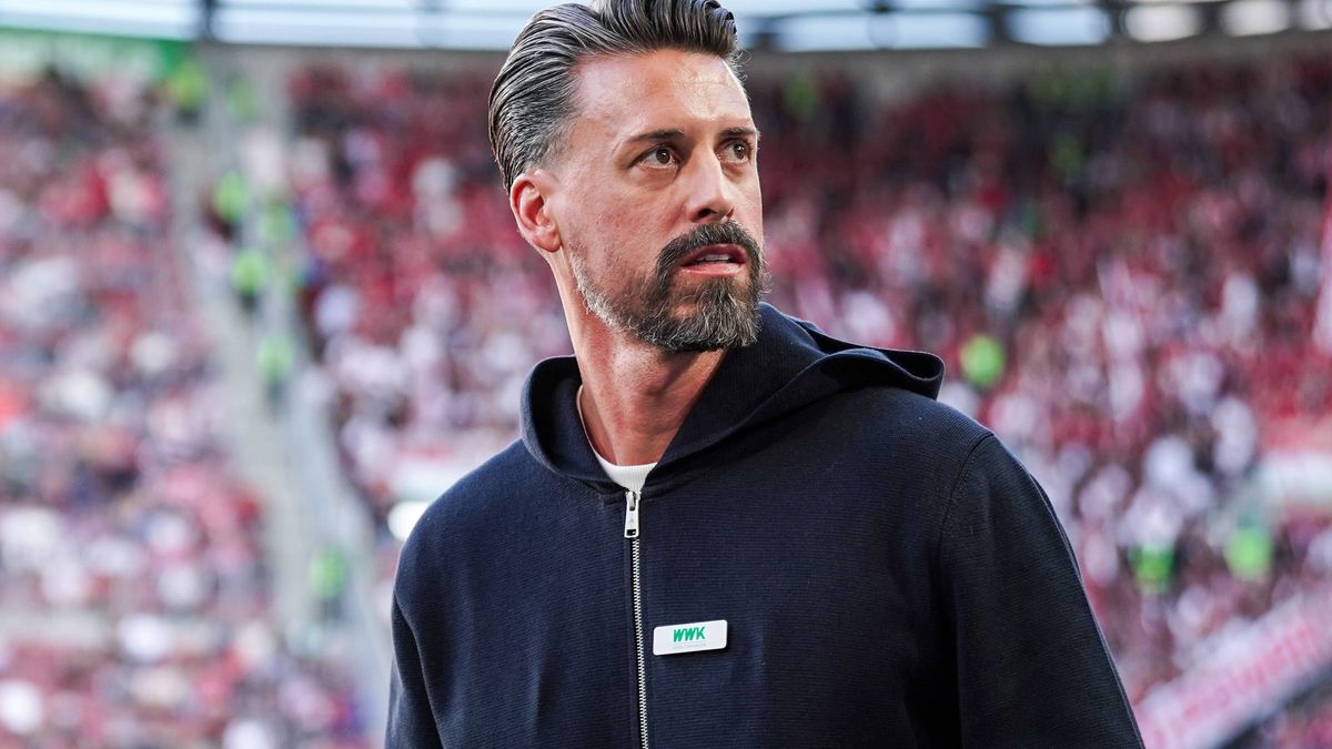 Sandro Wagner, Deutschland, Fußballtrainer, FC Augsburg, Bundesliga, ehemaliger Nationalspieler, Stürmer, Karriereende 2020, Trainerlaufbahn, DFB-Auswahl, Bayern München, SV Darmstadt 98, TSG Hoffe...