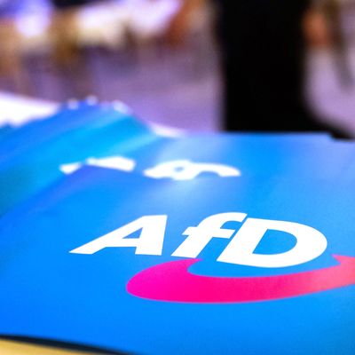 Bayern-AfD