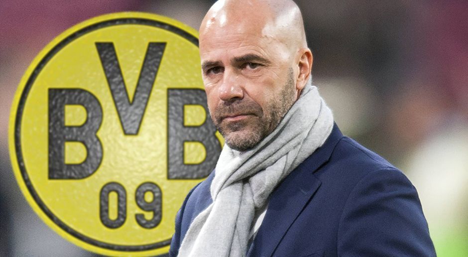 
                <strong>Die Karriere des Peter Bosz</strong><br>
                Es ist offiziell: Borussia Dortmund hat Peter Bosz als neuen Trainer vorgestellt. Der Nachfolger von Thomas Tuchel hat einen Vertrag bis 2019 unterschrieben und soll laut "kicker" drei Millionen Euro Ablöse kosten. Von seinem bisherigen Verein Ajax Amsterdam bringt der Niederländer seinen Assistenten Hendrie Krüzen mit. ran.de zeigt Bosz' Karrierestationen.
              