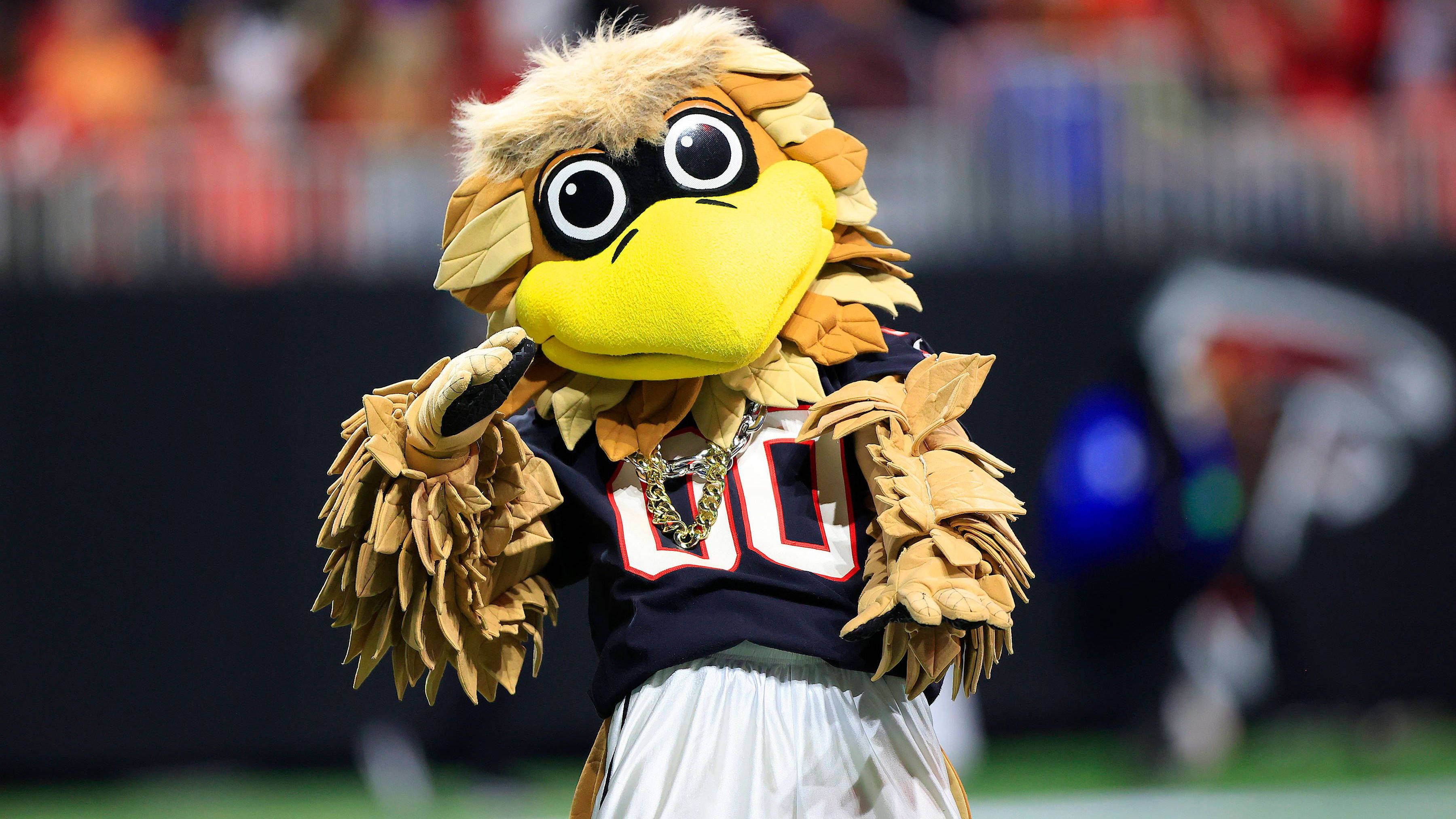 <strong>Atlanta Falcons</strong><br>Offizielles Maskottchen: Freddie Falcon<br>ChatGPT: Falco Blaze<br>Erklärung: kraftvoll und modern