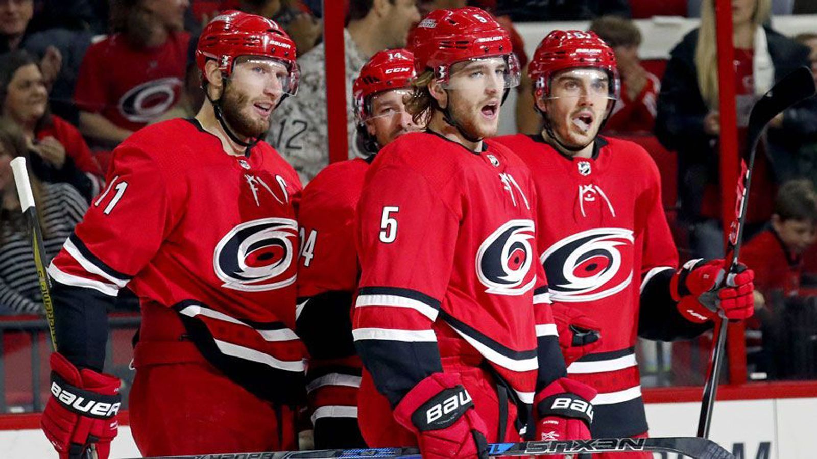 
                <strong>Raleigh</strong><br>
                Teams: Carolina Hurricanes (NHL)Letzter Titel: 2006 - Carolina Hurricanes
              