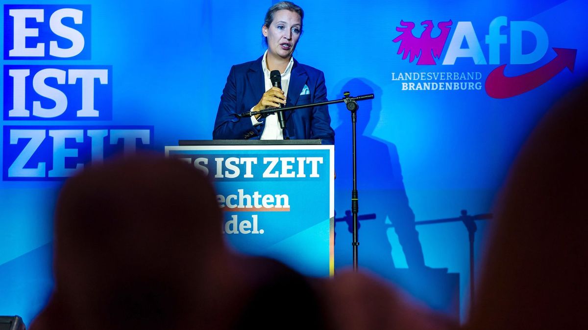 Wahlkampf der AfD in Brandenburg