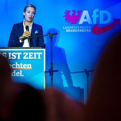 Wahlkampf der AfD in Brandenburg