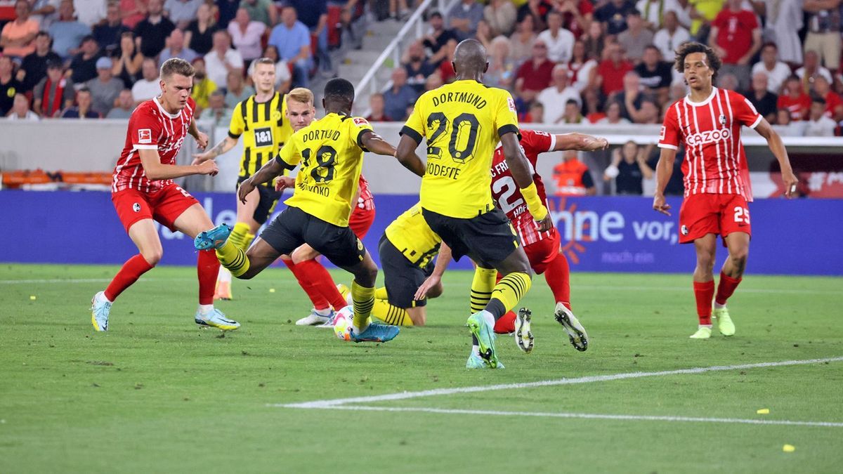 BVB, Freiburg, Einzelkritik
