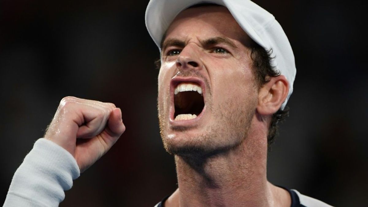 Andy Murray erreicht das Endspiel in Antwerpen