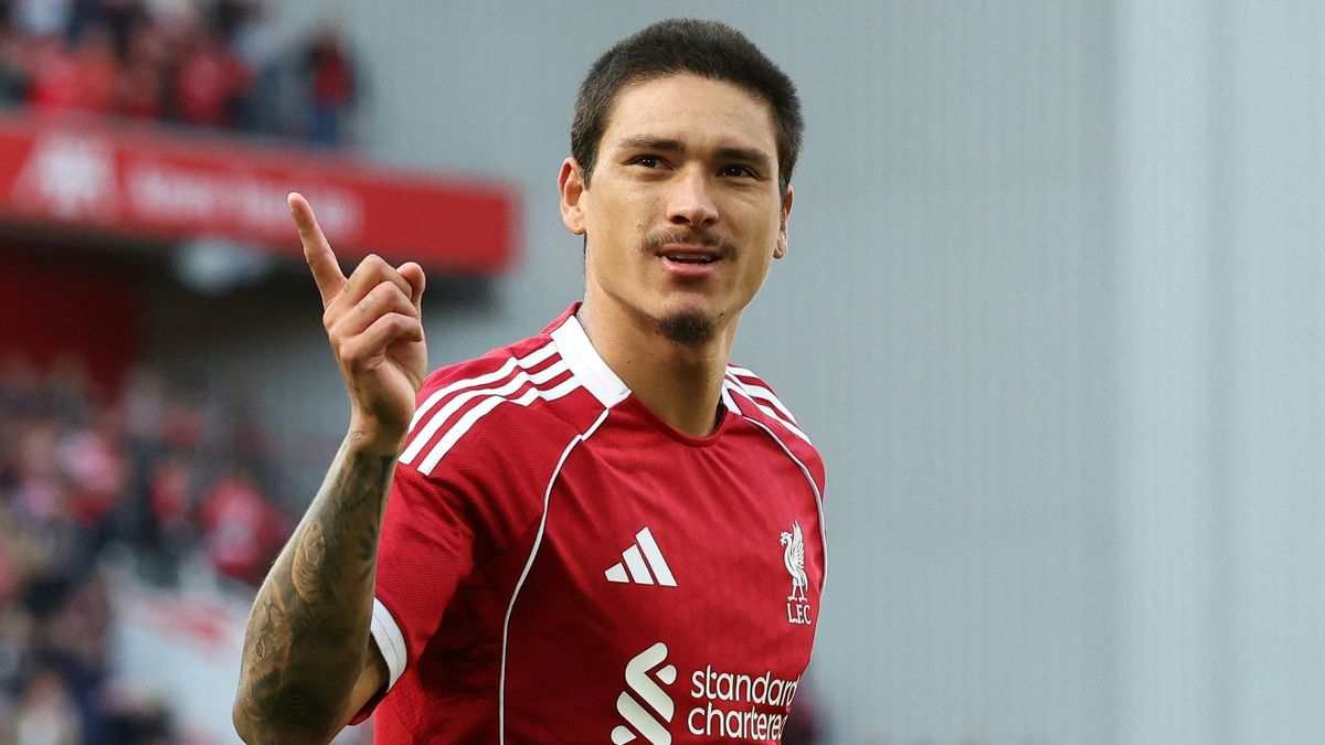 Verlässt Liverpool nach drei Jahren: Darwin Nunez
