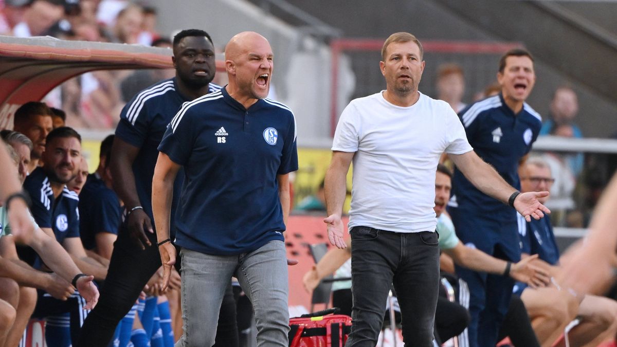 Schalke Ärger VAR