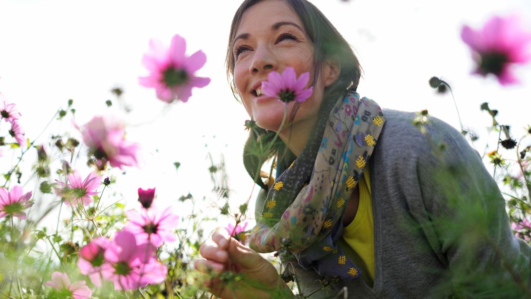 Wildblumenwiese statt pflegebedürftiges Blumenbeet? Mit diesen Garten-Tipps sieht dein Garten super toll aus - ohne Aufwand!