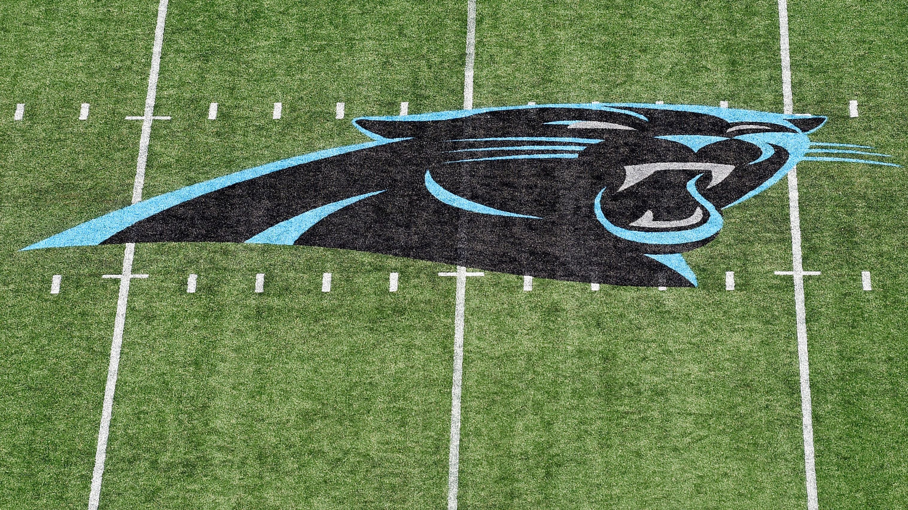 <strong>Carolina Panthers</strong><br>- Derzeit ohne Head Coach