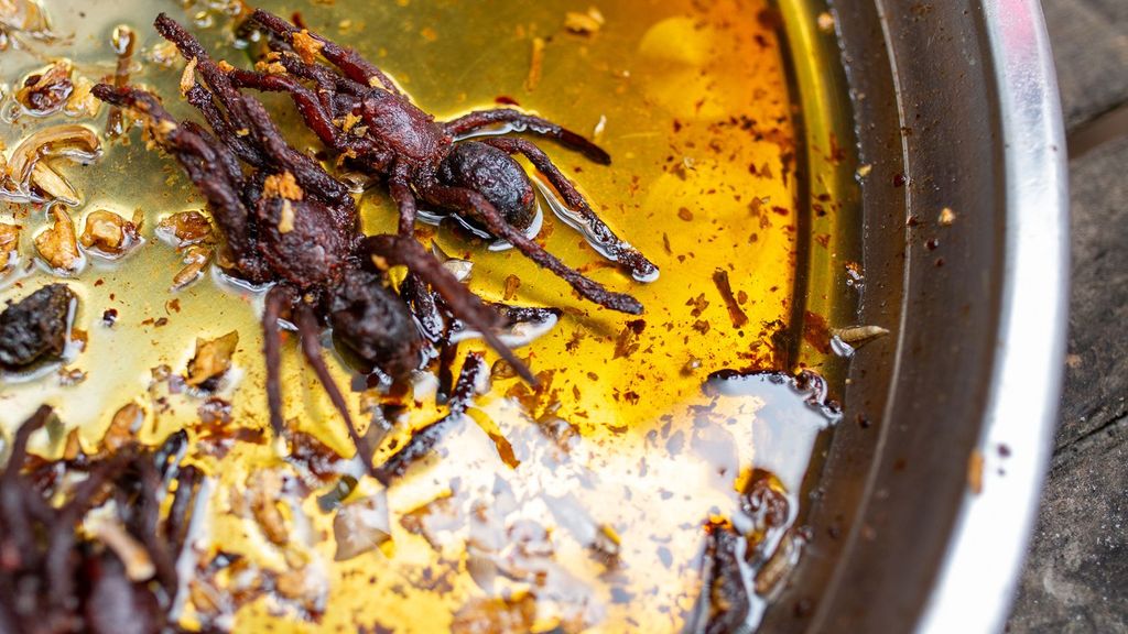 Internationale Leckerbissen, die Mitteleuropäer an Grenzen bringen