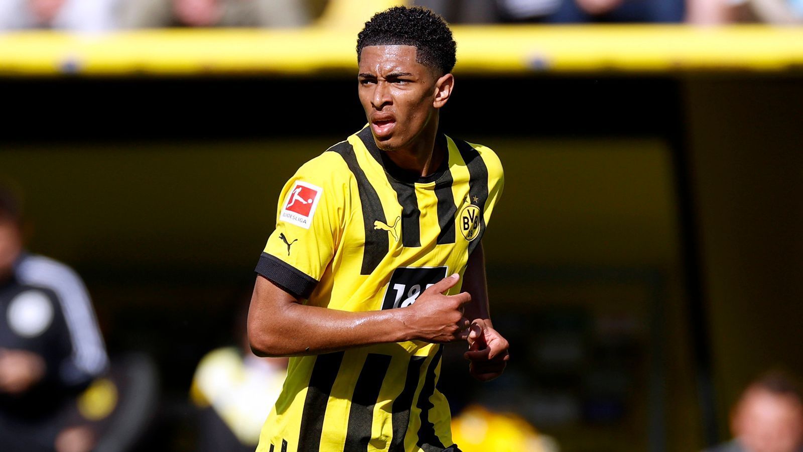 
                <strong>Defensives Mittelfeld: Jude Bellingham (Borussia Dortmund)</strong><br>
                Marktwert: 80 Millionen Euro
              