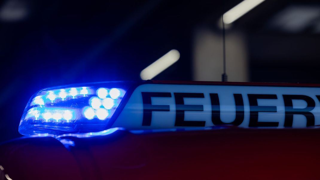 Feuerwehrleute haben in einem mehr als siebenstündigen Einsatz ein Katzenkind aus einem versteckten Hausschacht in Grevenbroich gerettet.