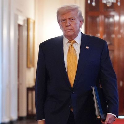 US-Präsident Trump über Eindämmung des tödlichen Fentanylhandels