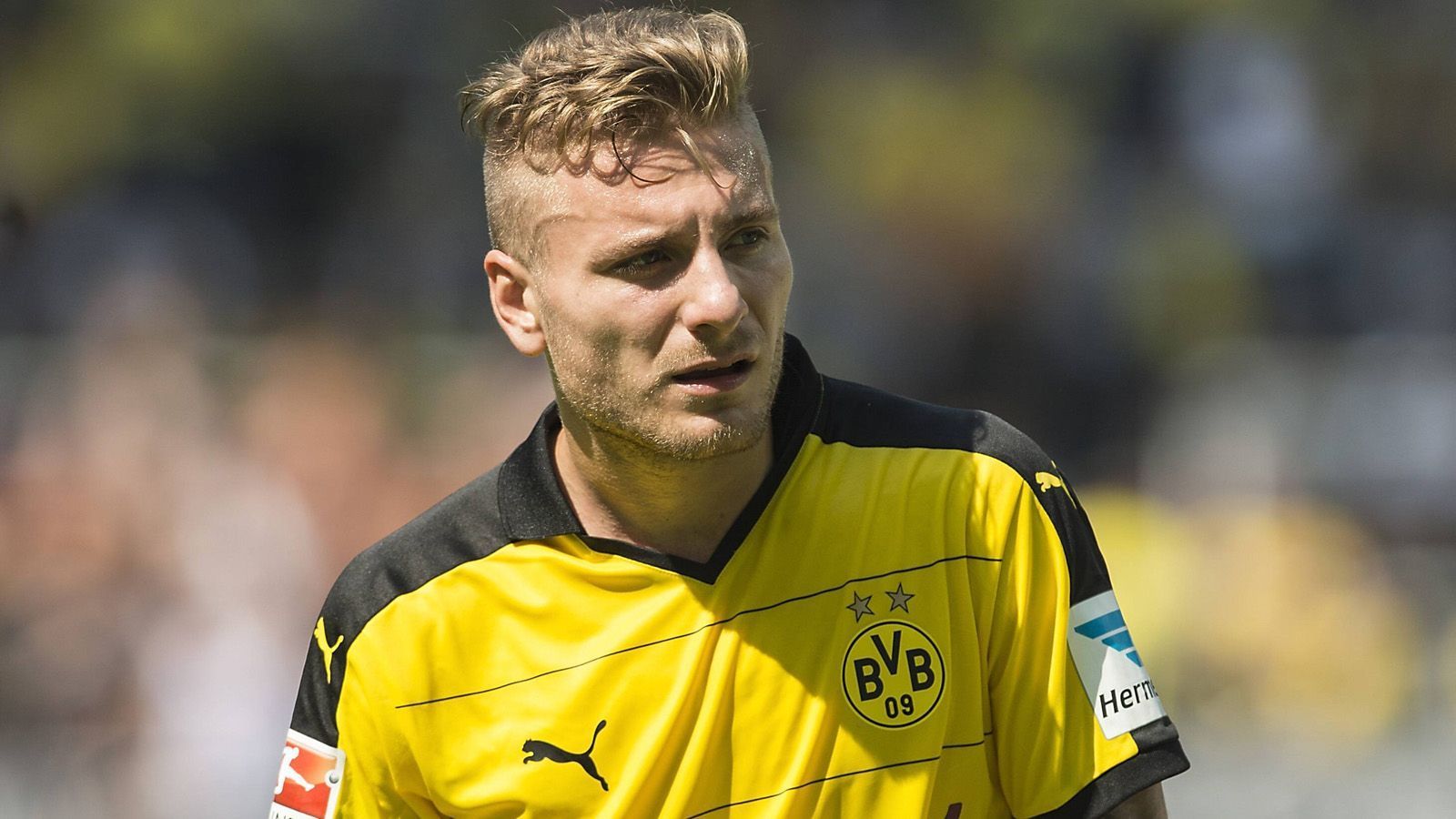 
                <strong>Sturm: Ciro Immobile</strong><br>
                Er war als Nachfolger des abgewanderten Robert Lewandowski angedacht, enttäuschte aber in jeder Hinsicht. Für 18,5 Millionen Euro hatte der BVB ihn 2014 vom FC Turin abgeworben. Die magere Gegenleistung: drei mickrige Bundesligatore. Auch die Bereitschaft, sich in der Mannschaft zu integrieren und Deutsch zu lernen, war kaum vorhanden. Nach einem Jahr wurde das Missverständnis beendet. Bitter für den BVB: In Italien trifft Immobile seit Jahren wie am Fließband.
              