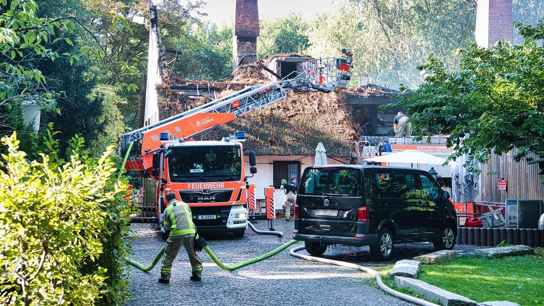 Bei dem Brand im Berliner Tiergarten wurde niemand verletzt.